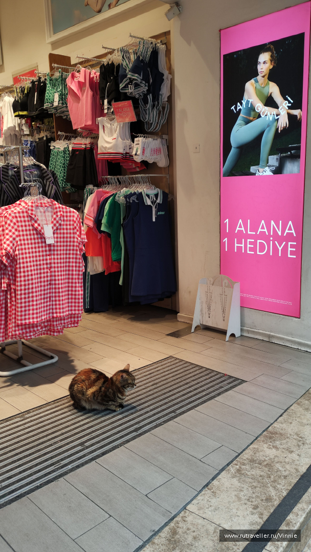 photo 2094578