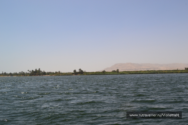 photo 1329507