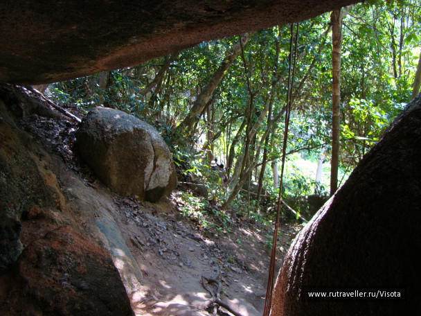 photo 247891