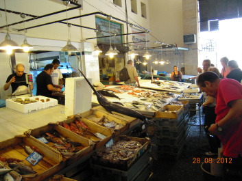 photo 157362