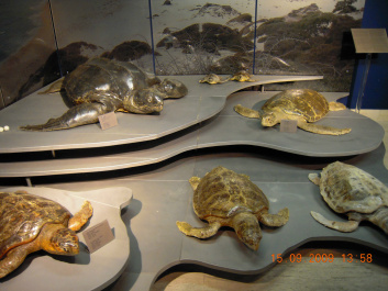photo 157809