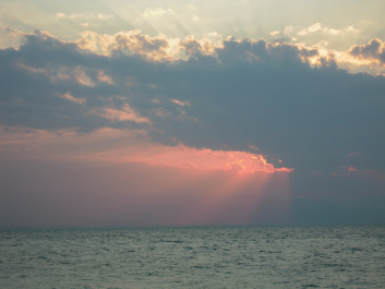 photo 498286