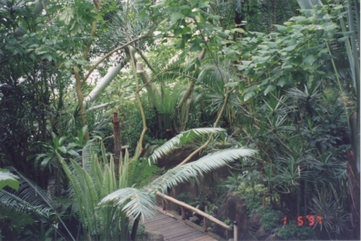 photo 877828