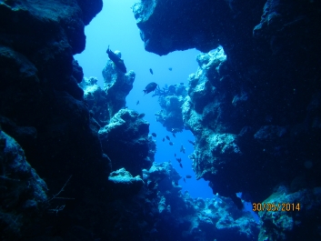 photo 877947