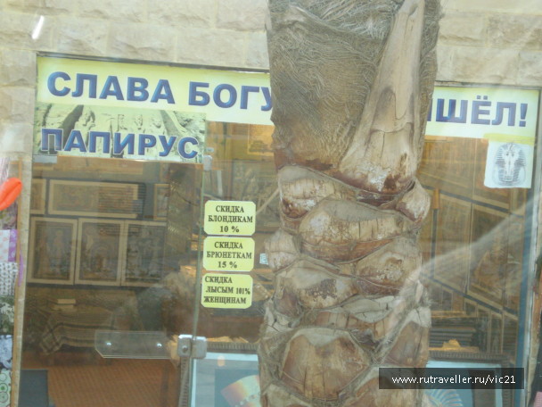 photo 249066