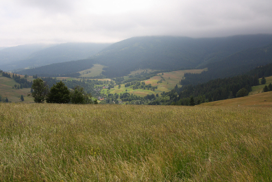 photo 63192