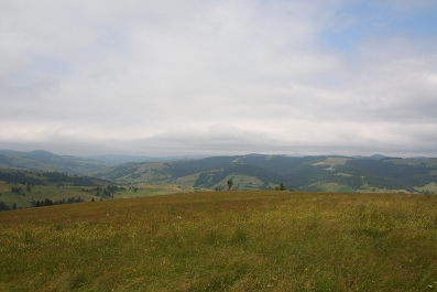 photo 63194