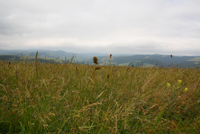 photo 63195