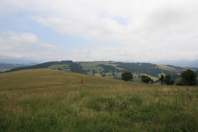 photo 63196