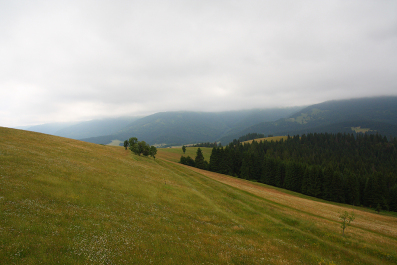 photo 63199