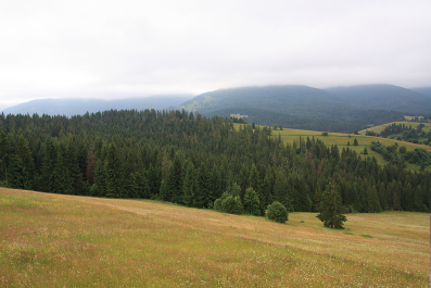 photo 63201