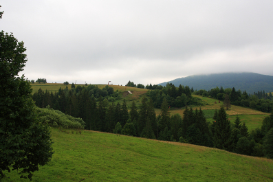 photo 63205