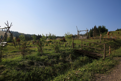 photo 63247
