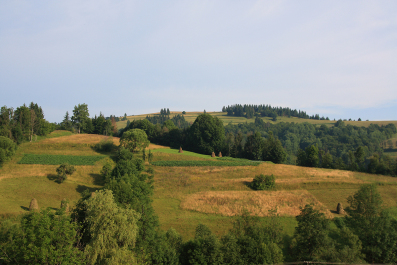 photo 63251