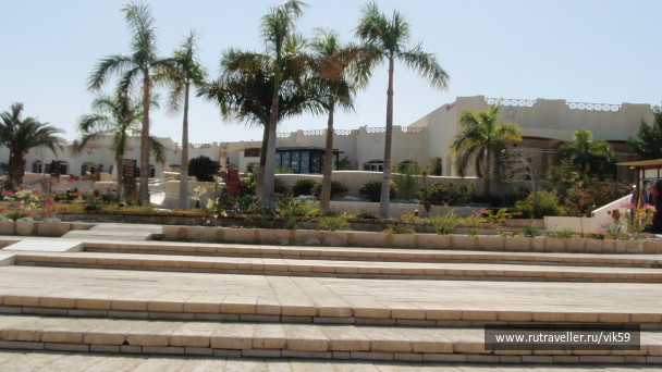 photo 264880