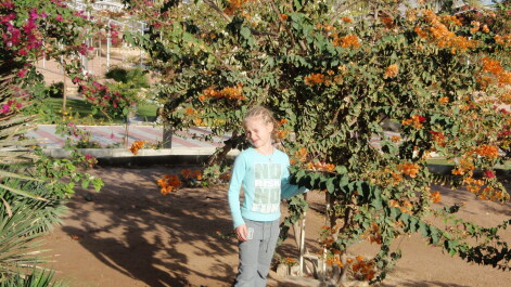 photo 264892