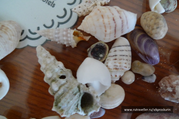 photo 217049