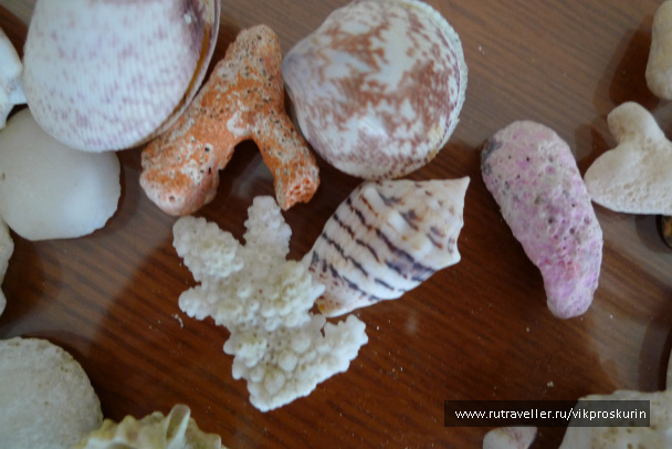 photo 217051