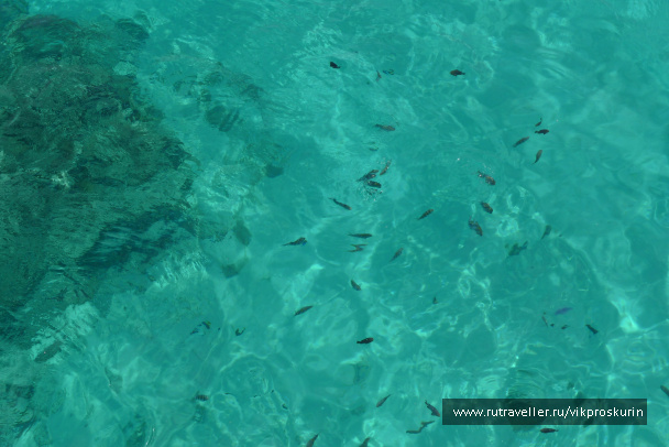 photo 217063