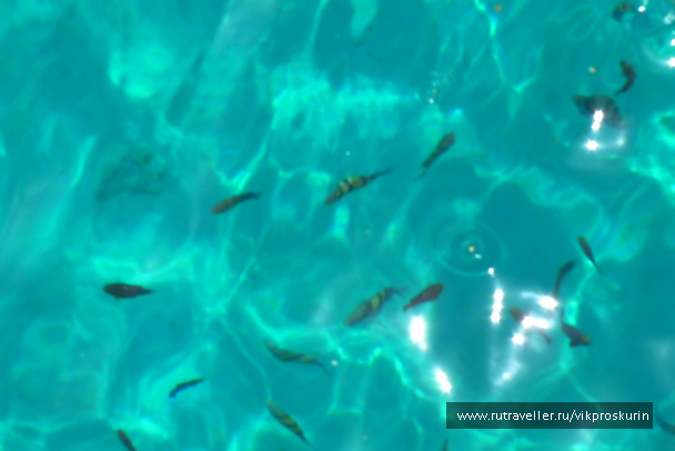 photo 217064
