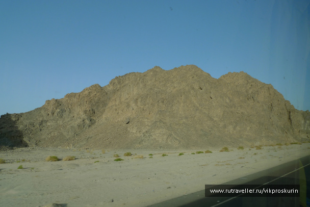 photo 217117
