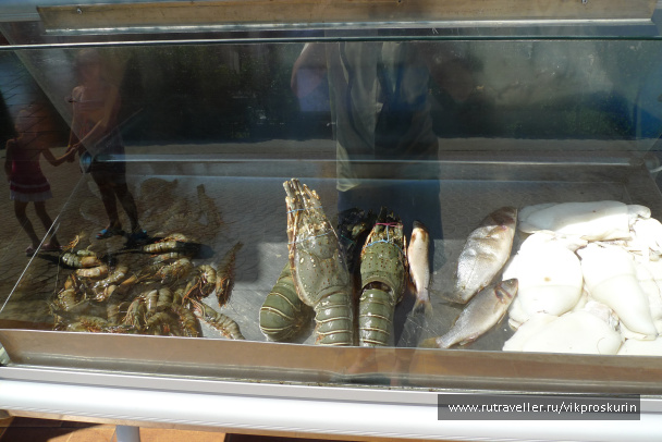 photo 217184