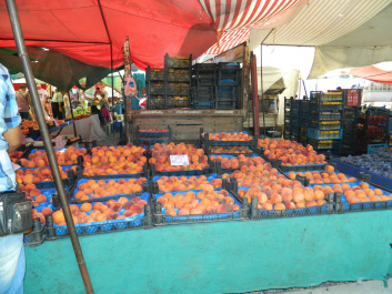 photo 283338