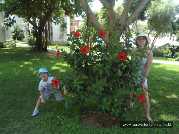 photo 389826