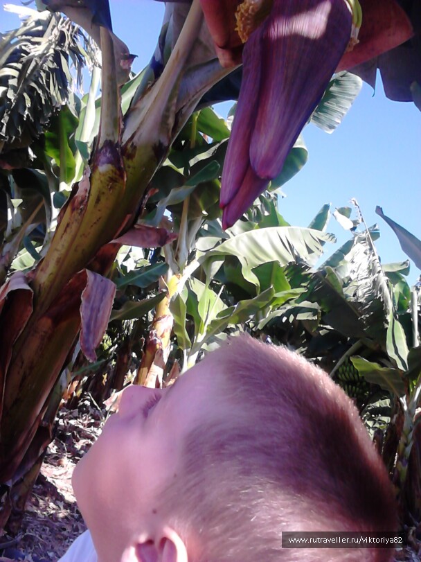 photo 583181