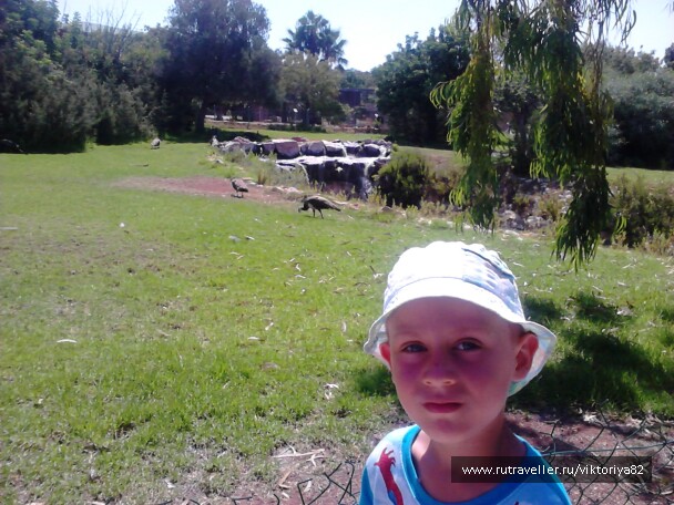 photo 583188