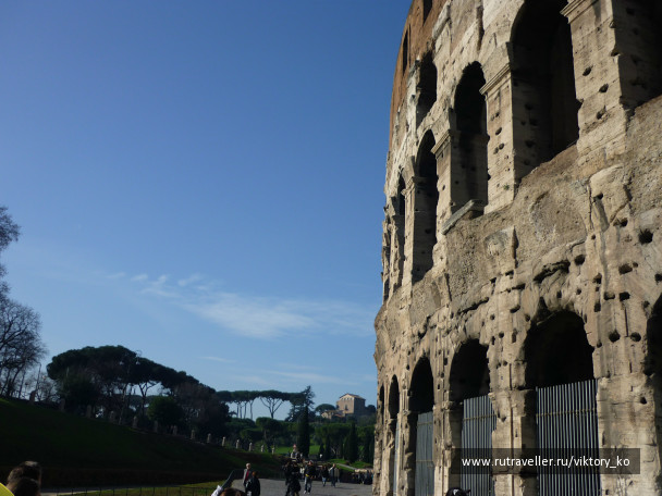 photo 473789