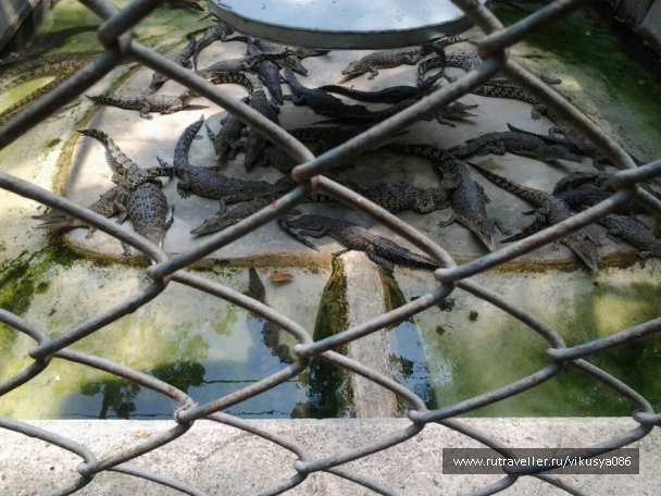 photo 716674