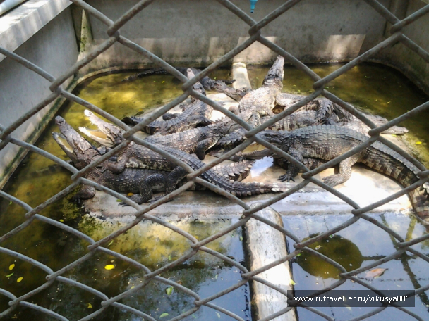 photo 716675