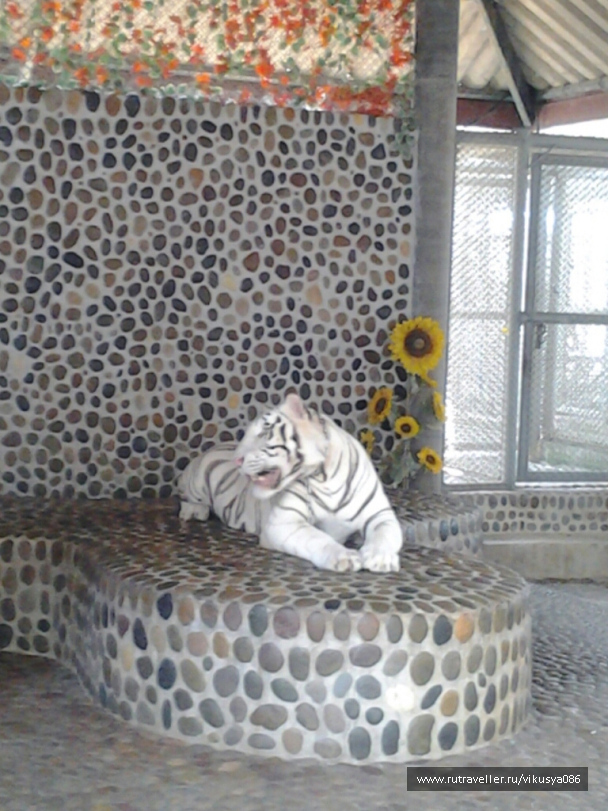 photo 716678
