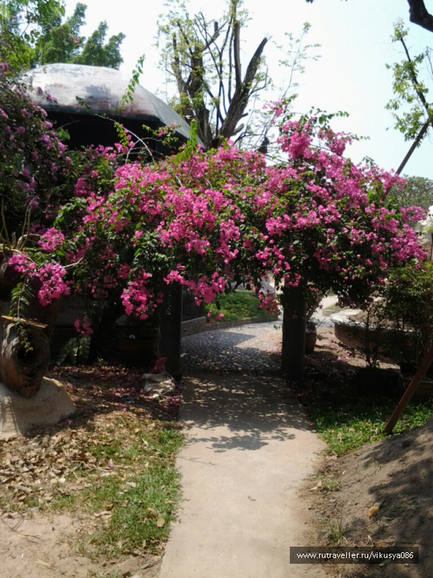 photo 716683