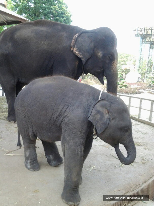 photo 716750