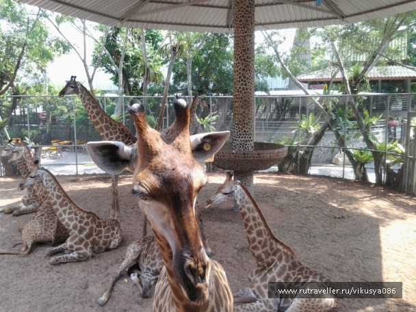 photo 716752