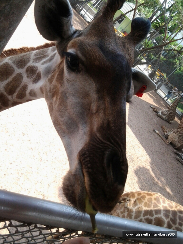 photo 716756