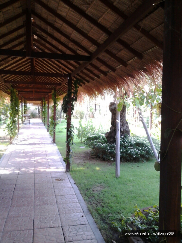 photo 716857
