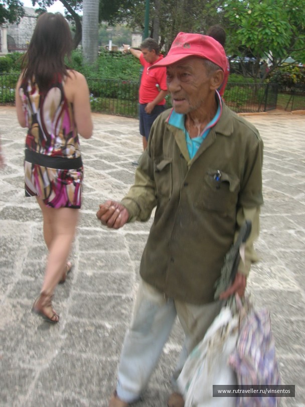 photo 21776