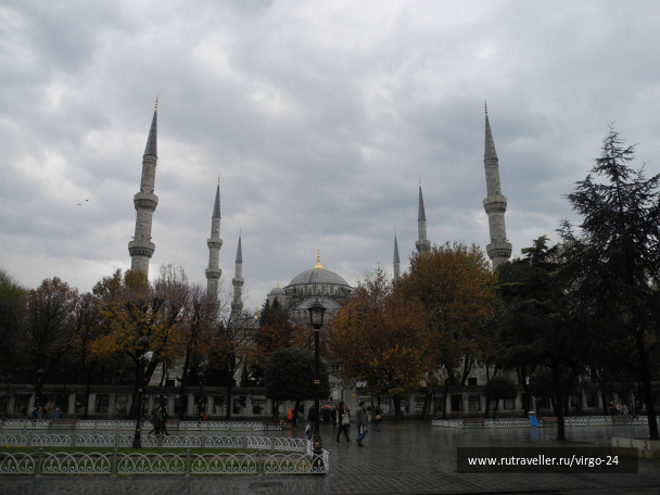 photo 254496