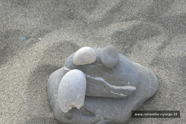 photo 254516
