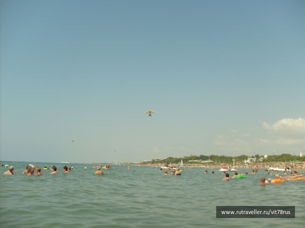 photo 223442