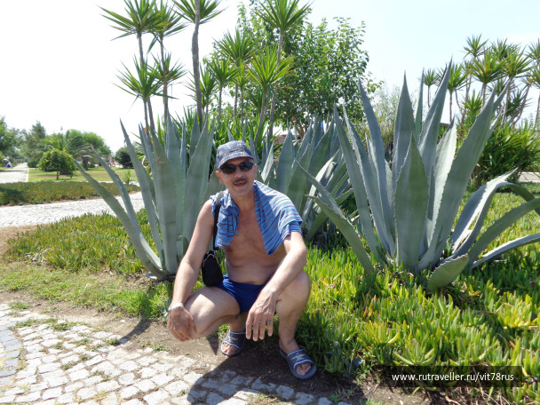 photo 436970