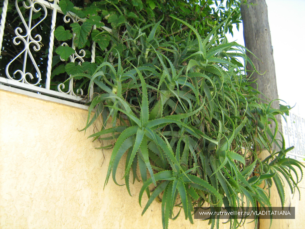 photo 618514