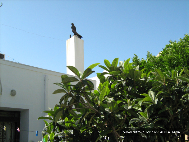 photo 618515