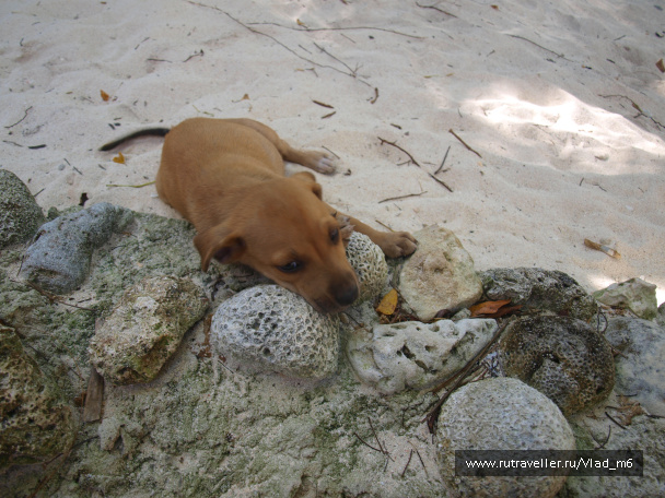 photo 112772