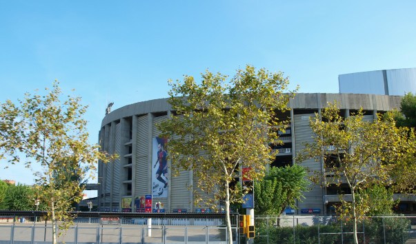 P9045488