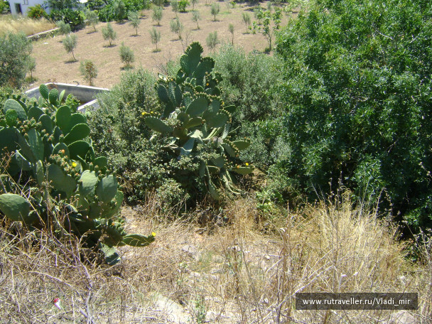 photo 106811