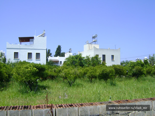 photo 106812
